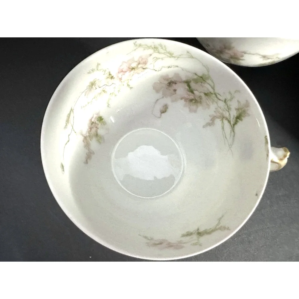 Charles Field Haviland Limoges France Pink Poppies Schleiger 377 Teacup & Saucer